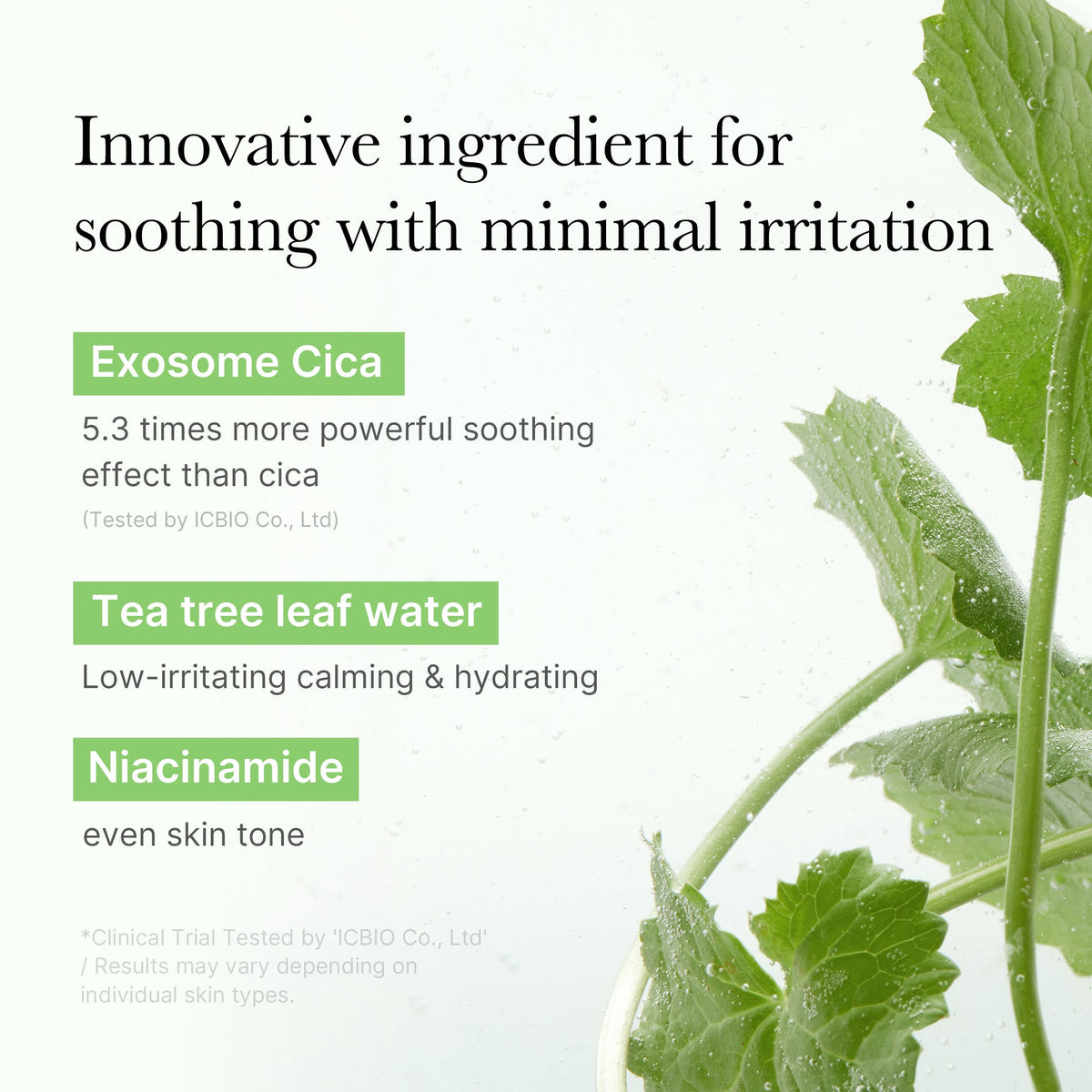 Exosome Cica Calming Toner Pads A8